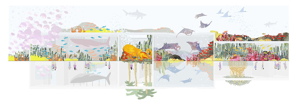 Research Center Of The Sea Of Cortes