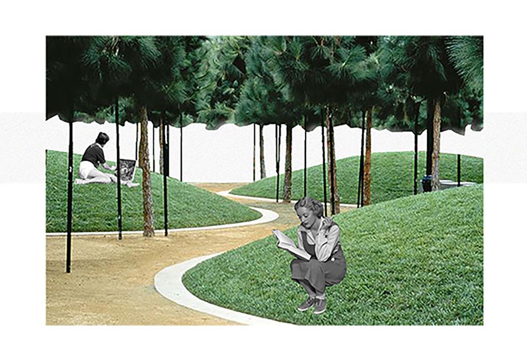 Olive West Masterplan