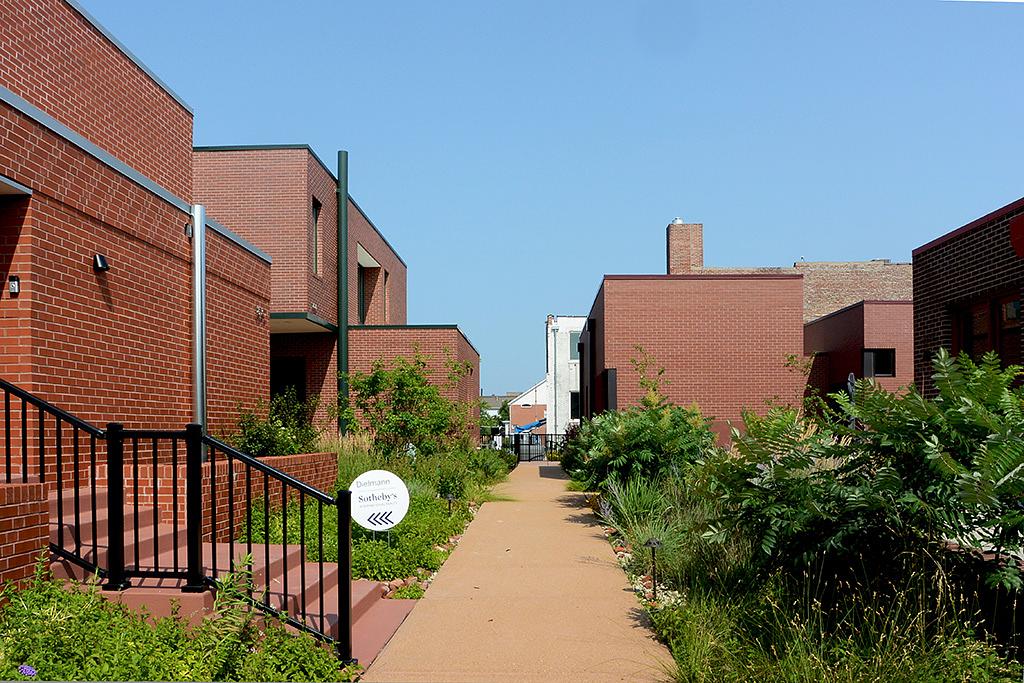 Olive West South