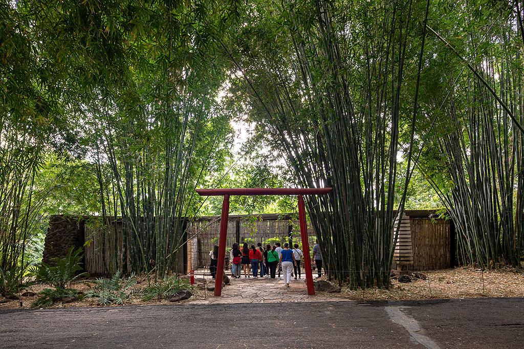 Botanical Garden