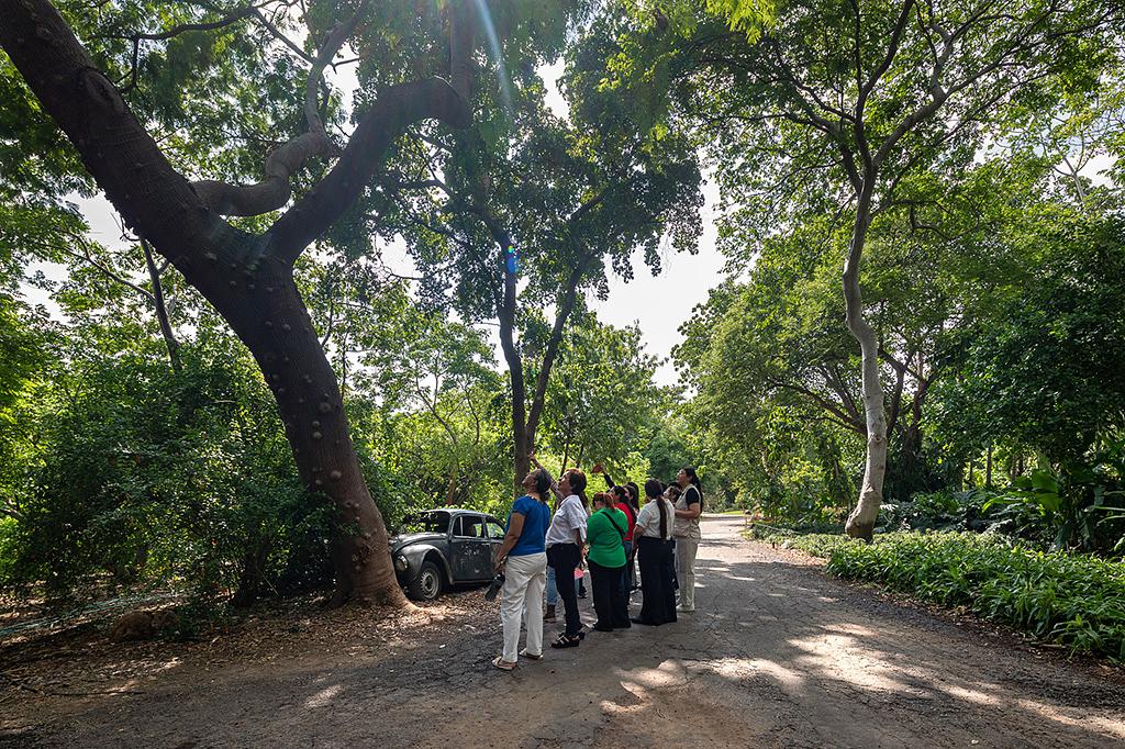 Botanical Garden