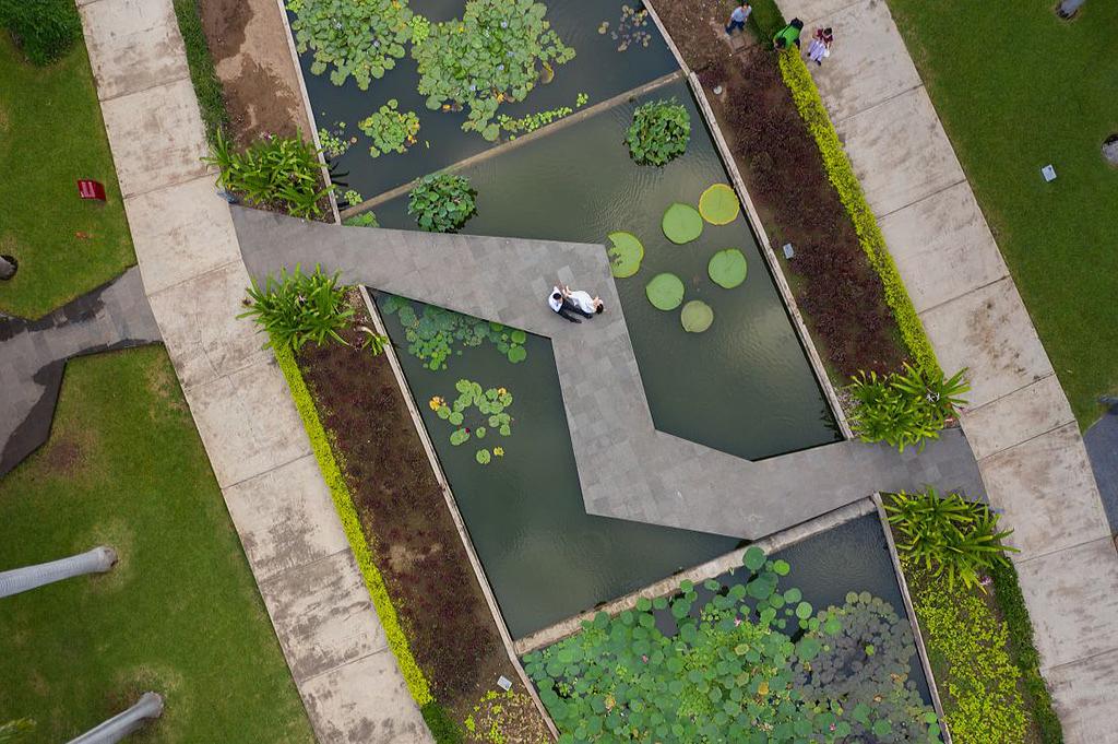 Botanical Garden